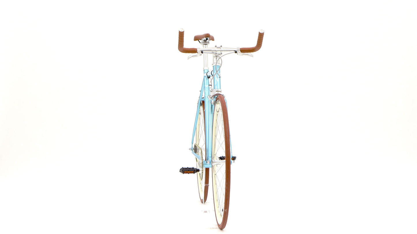 Varsity Cambridge Bicycle