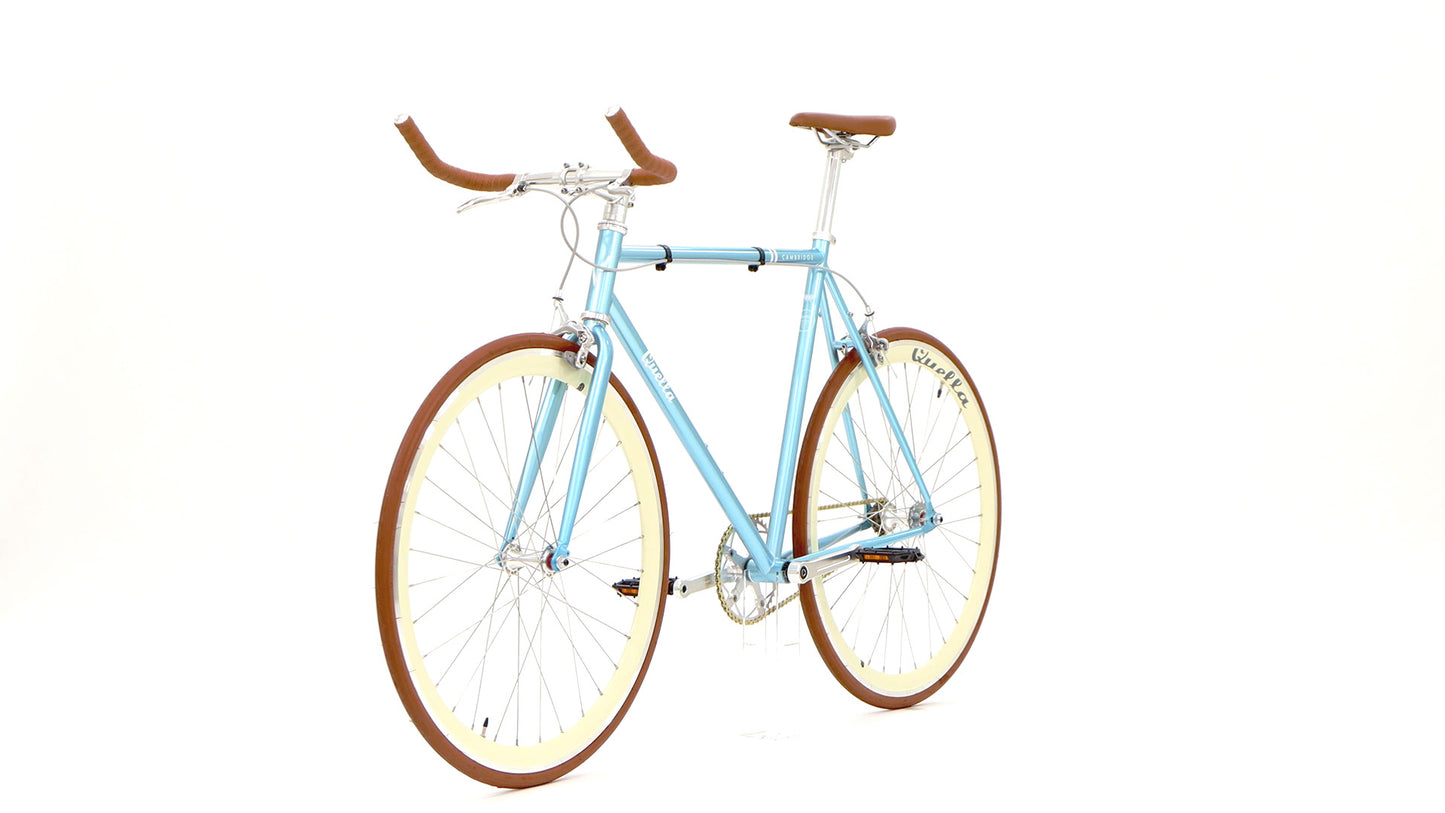 Varsity Cambridge Bicycle