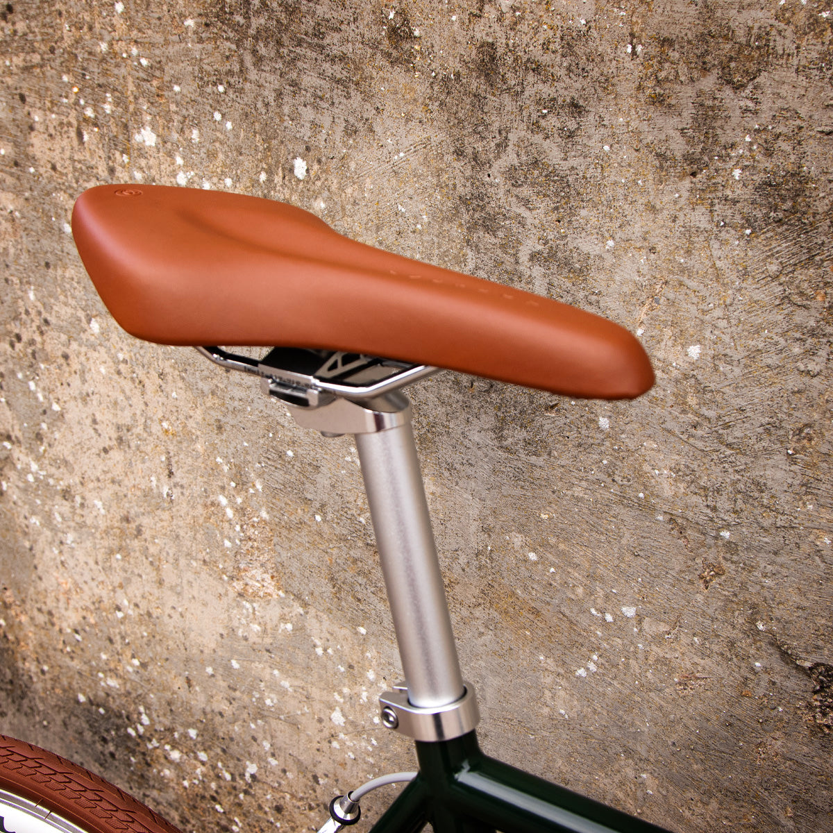 Limited Edition: The Evergreen