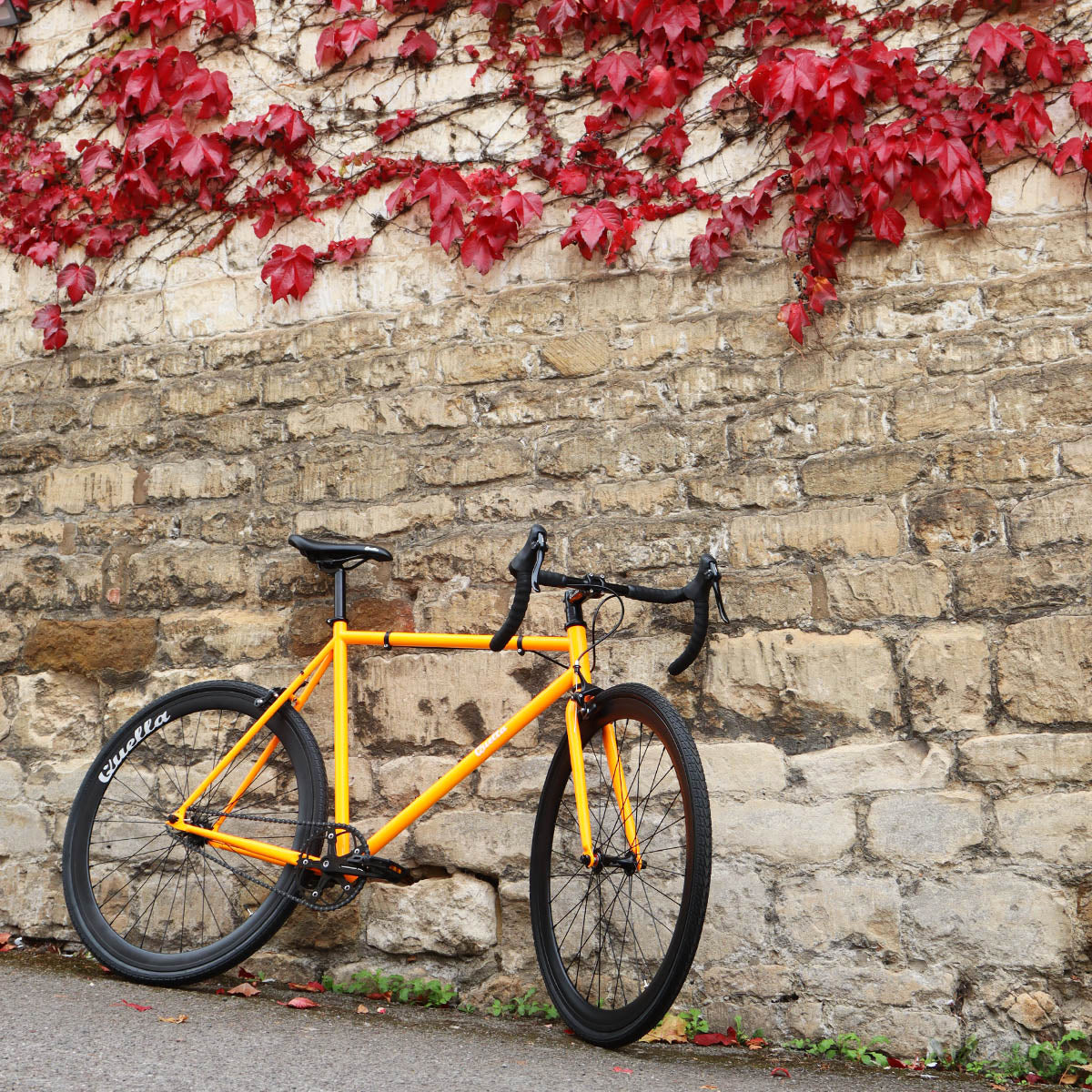 Limited Edition: The Ember Flyer