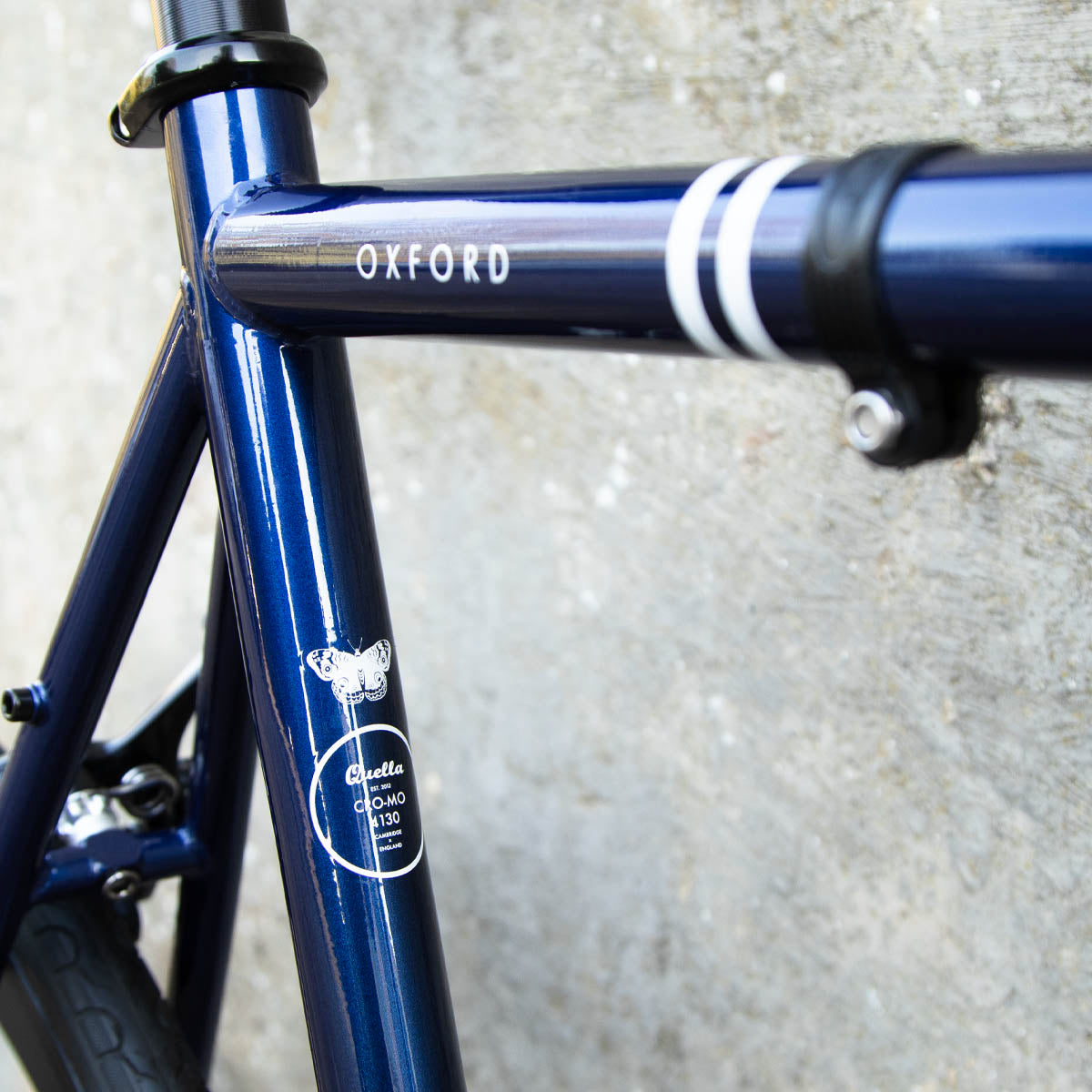 Limited Edition: The Midnight Oxford