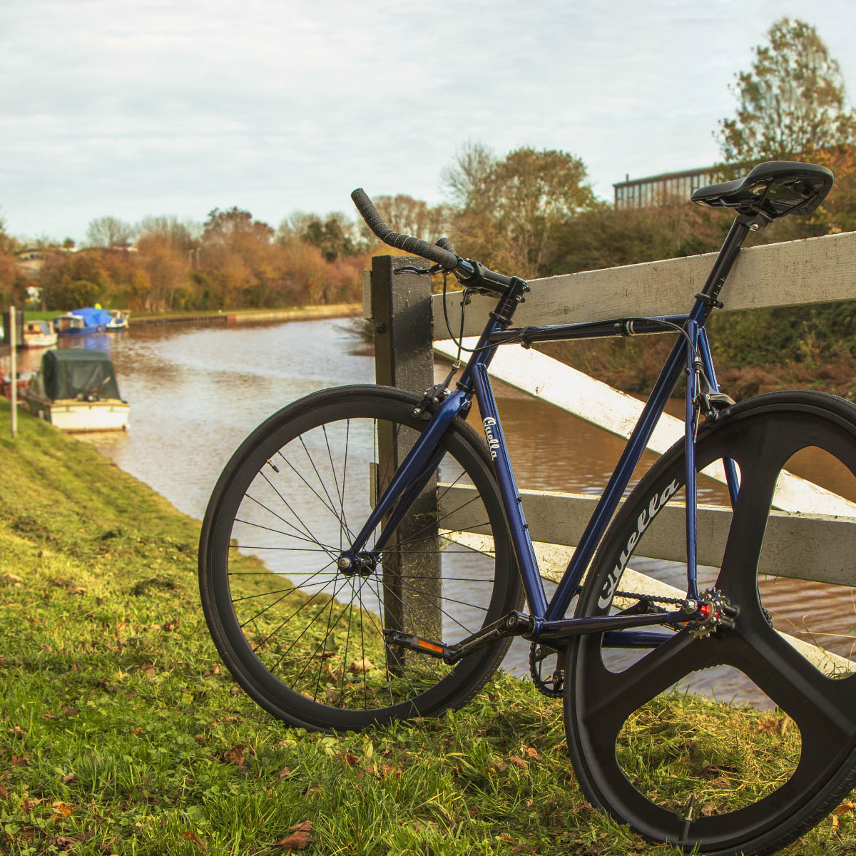 Limited Edition: The Midnight Oxford