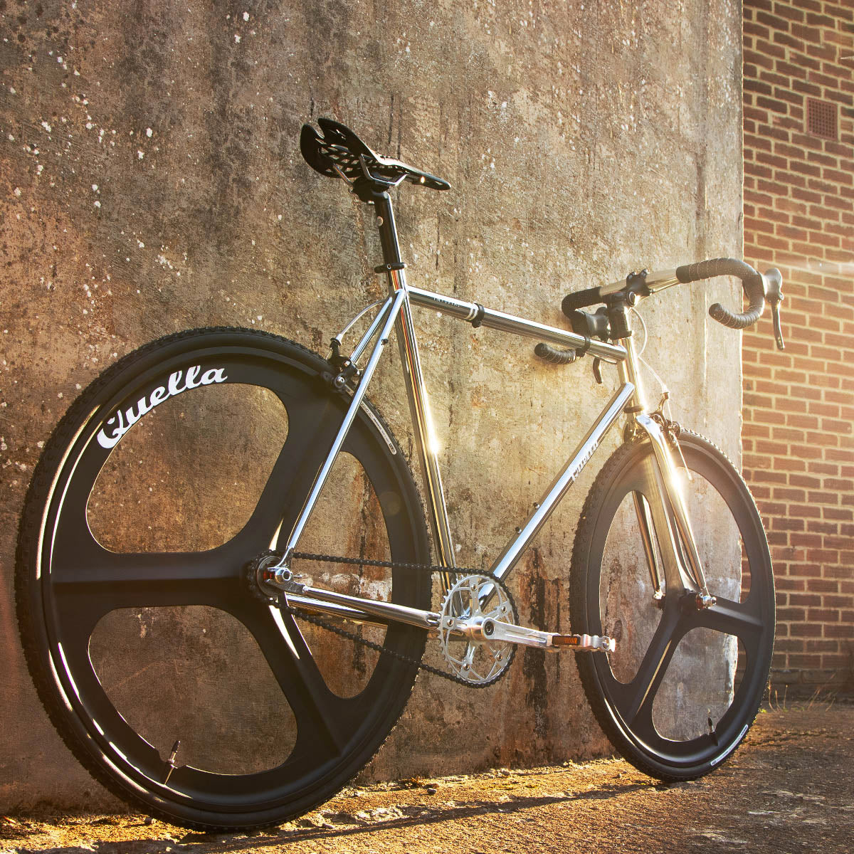 Limited Edition: The One