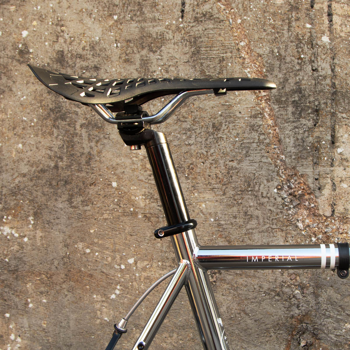 Limited Edition: The One