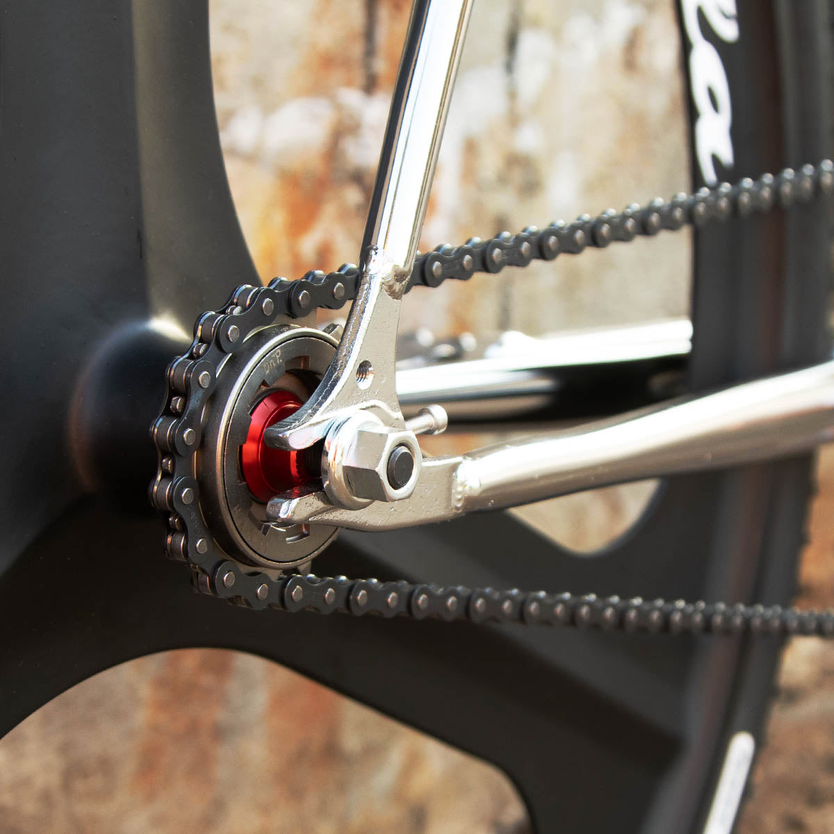 Limited Edition: The One