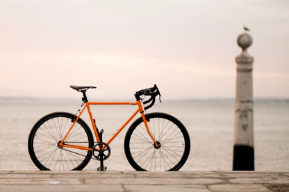 Limited Edition: The Ember Flyer