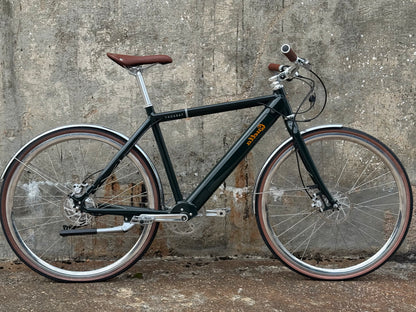 Sample geared electric bike