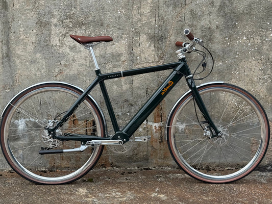 Sample geared electric bike
