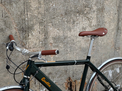 Sample geared electric bike