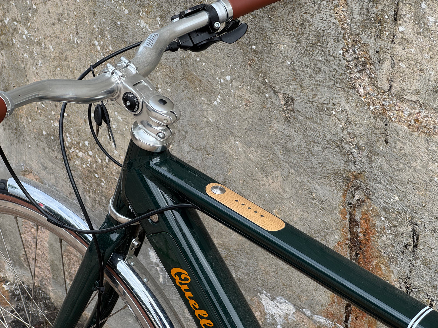 Sample geared electric bike