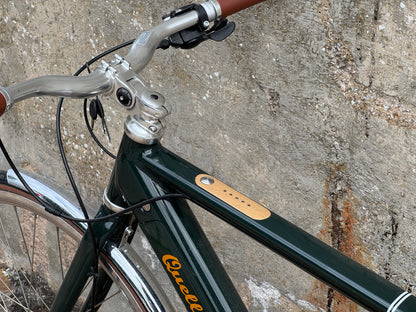 Sample geared electric bike
