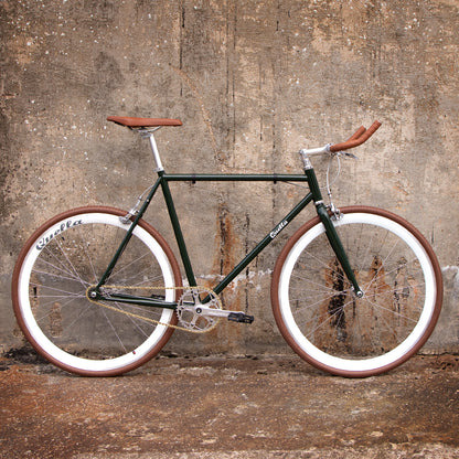 Limited Edition: The 'Evergreen'