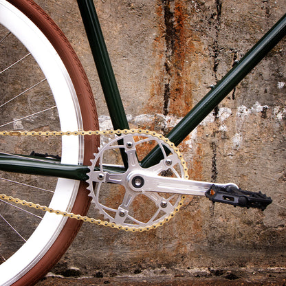 Limited Edition: The 'Evergreen'